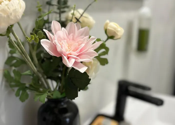 Bellaria House * サン・ラッザロ・ディ・サーヴェナ